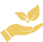 ENVIRONMENT FRIENDLY